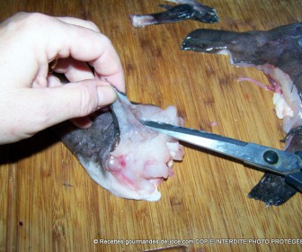 comment nettoyer queue de lotte