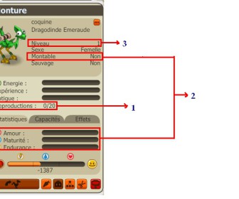 comment faire accoucher une dd