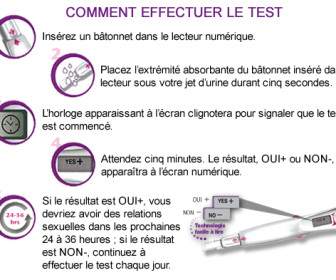 comment marche un test d'ovulation