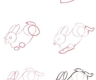 comment dessiner un lapin