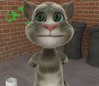 comment faire tomber tom le chat