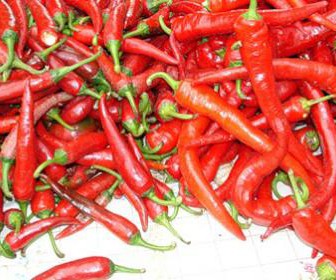 comment maigrir 2013