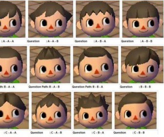 comment se coiffer dans animal crossing wii