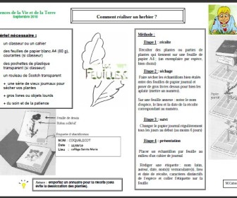 comment faire herbier