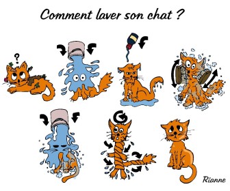 comment laver son chat