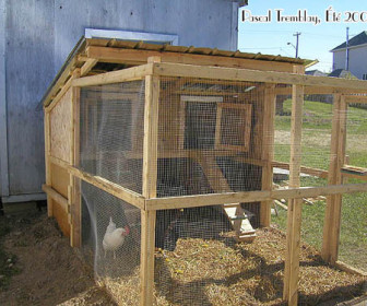 comment construire 1 poulailler