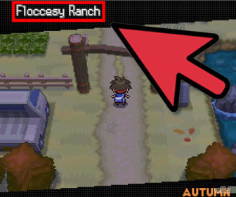 comment faire evoluer riolu