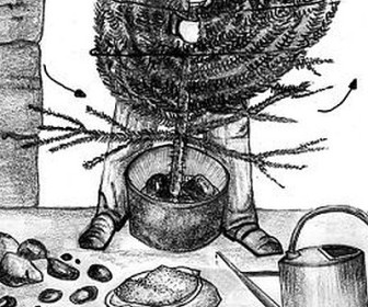 comment faire tenir un sapin sans pied