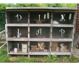 comment mettre 10 lapins 9 cases