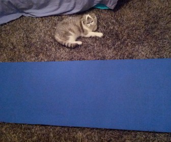 comment laver tapis yoga
