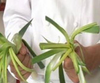 comment laver poireaux